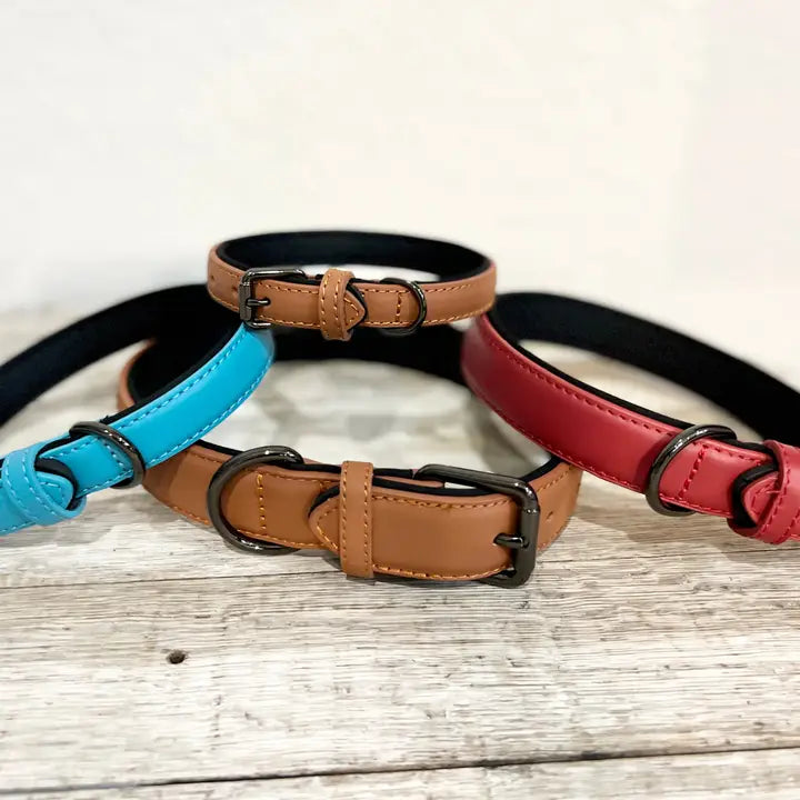 Laser Engraved Dog Collars