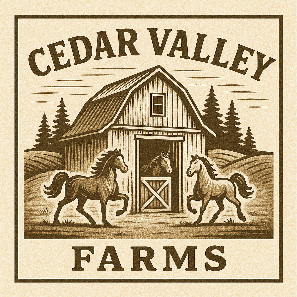 Custom Shirts / Crewnecks / Hoodies