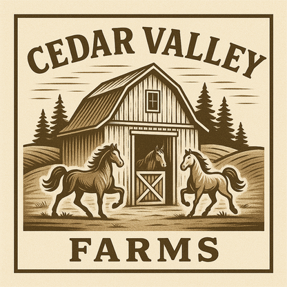 Custom Shirts / Crewnecks / Hoodies